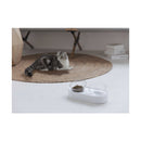 Fresh Nano 15 Adjustable Cat Feeding Bowl   Double