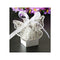 10 Pack of Ivory Cream Coloured Butterfly Boxes