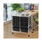 Movable 12 Drawer Storage Trolley with 2 lockable for Home Office Clear