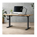 Sit Stand Desk Motorized Standing Desk Adjustable Table 160Cm Length