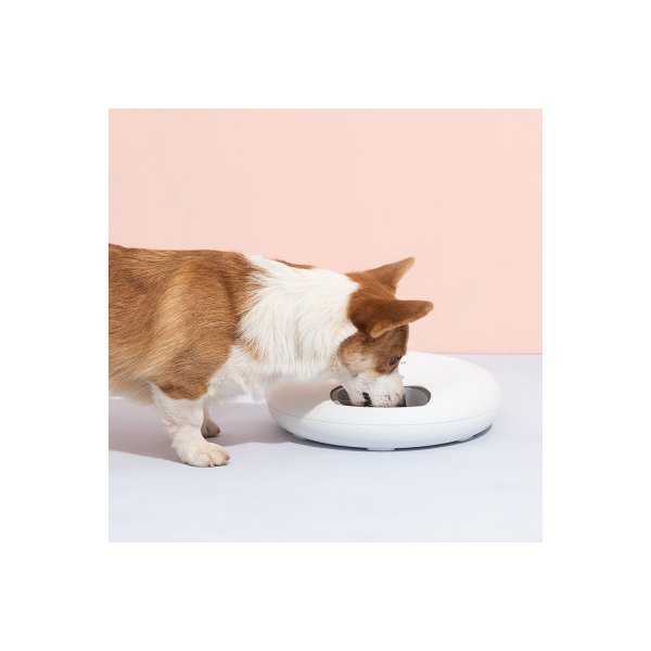 6 Meal Automatic Pet Food Dispenser With Programmable Timer Pink