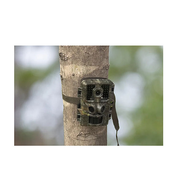24Mp Trail And Wildlife Camera