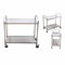 2 Tier Stainless Steel Utility Cart 95X50X95Cm Large