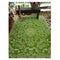 Lime And Cream Recycled Plastic Outdoor Rug And Mat