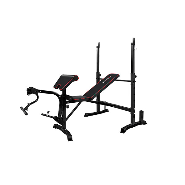 Weight Bench 10 In 1 Press Multi-station Fitness Home Gym Equipment