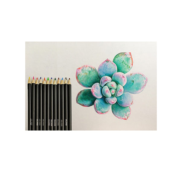 Art Sketch Pencils Oil Drawing Colouring Graphite Charcoal Pencil Set