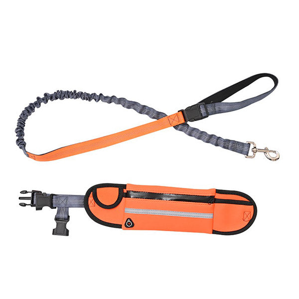 Orange Adjustable Pet Leash