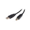 Startech 5M Usb 2 A To B Cable M M
