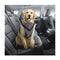 Dog Harness 2In1 Car Walk Combo Travel No Pull Leash Seat Belt Ride