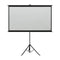 Projection Screen 84 Inch With Tripod