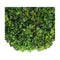 100Cm Mixed Green Fern Black Slimline Artificial Green Wall Disc Art