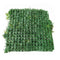 100 X 100Cm Luxury Amazon Jungle Recycled Vertical Garden