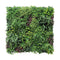 100 X 100Cm Luxury Country Fern Recycled Vertical Garden