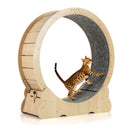 101 Cm Large Cat Exercise Wheel For Indoor Cats Natural