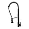 Kitchen Sink Tap Mixer Pull Out Spray Head Laundry Sink Faucets Black