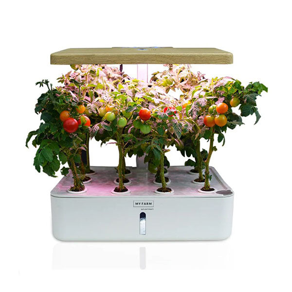 12 Pod Indoor Hydroponic Growing System Water Level Window Pump White
