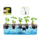 12 Pod Indoor Hydroponic Growing System Water Level Window Pump White