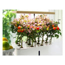 12 Pod Indoor Hydroponic Growing System Water Level Window Pump White