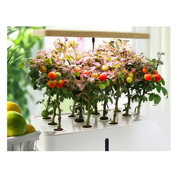 12 Pod Indoor Hydroponic Growing System Water Level Window Pump White