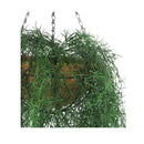 135Cm Long Hanging Artificial Spanish Moss Basket