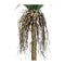 135Cm Potted Artificial Yucca Tree With Tall Head