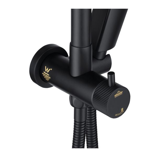 13 Inch Twin Rain Shower Head With Shower Mixer Rail