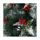 150Cm Christmas Tree Snow Flocked