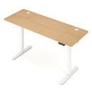 160X60Cm Electric Standing Desk With 3 Memory Presets For Home Office