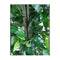 180Cm Mixed Green Bushy Artificial Ficus Tree