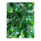 180Cm Mixed Green Bushy Artificial Ficus Tree