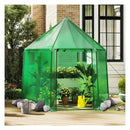 198 X 172 X 190Cm Walk In Greenhouse With Pe Cover For Winter Green