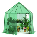 198 X 172 X 190Cm Walk In Greenhouse With Pe Cover For Winter Green