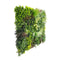 1M X 1M Luxury Evergreen Rainforest Recycled Vertical Garden