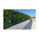 1M X 1M Luxury Hawaiian Sunrise Vertical Garden Wall