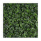 1M X 1M Variegated Boston Ivy Leaf Screen Green Wall Panel