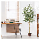 1 Pc 182Cm Artificial Olive Tree In Cement Pot With Leaves And Fruits