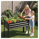 1 Piece Electro Coating Metal Large Raised Garden Bed Black