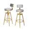 2X Bar Stools Kitchen Stool Chair