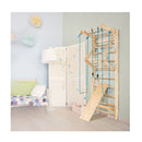 22Cm Wall Bars Gymnastics Wall With Rings And Swing And Slide