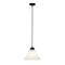 25Cm Frost Pleated Glass Single Pendant