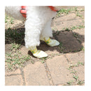 28Pc Medium Disposable Dog Puppy Socks Shoes