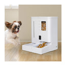 2 In 1 Automatic Pet Cat Dog Feeder Water Set