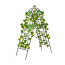 2 Pack Decorative Outdoor Metal Garden Trellis 50 X 180 Cm Black