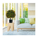 2 Pack Faux Potted Plant With Orange Fruit And Cement Base