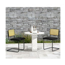 2 Pcs Mid Century Modern Dining Chair With Cane Back Cantilever Design