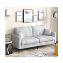 2 Seat Modern Home Sofa Couch With Armrest Pillows For Living Room