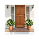 2 Pack Artificial Boxwood Topiary Ball Tree With Plastic Nursery Pot