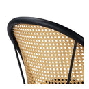 2x Dining Chairs Curved Rattan Side Pu Leather Padded Seat Metal Legs