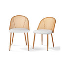 2x Dining Chairs Curved Rattan Side Pu Leather Padded Seat Metal Legs