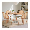 2x Dining Chairs Curved Rattan Side Pu Leather Padded Seat Metal Legs